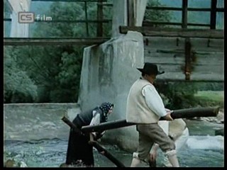 Ako listy jedneho stromu 4