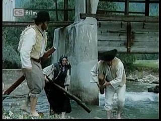 Ako listy jedneho stromu 4