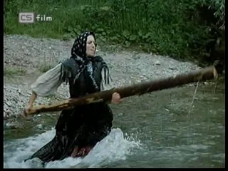 Ako listy jedneho stromu 4