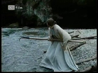 Ako listy jedneho stromu 4