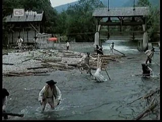 Ako listy jedneho stromu 4