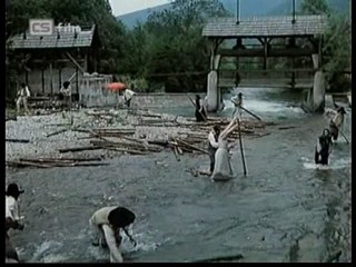 Ako listy jedneho stromu 4