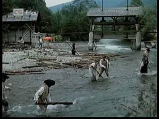 Ako listy jedneho stromu 4