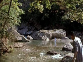 Spring, Summer, Fall, Winter... and Spring