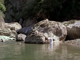 Spring, Summer, Fall, Winter... and Spring