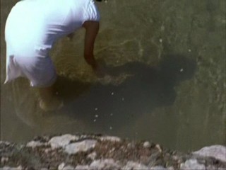 Spring, Summer, Fall, Winter... and Spring