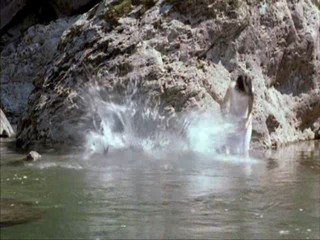 Spring, Summer, Fall, Winter... and Spring