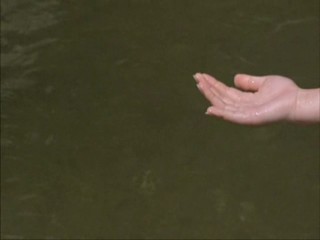 Spring, Summer, Fall, Winter... and Spring