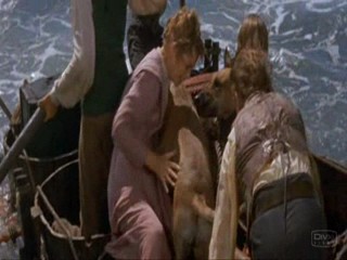 The Swiss Family Robinson