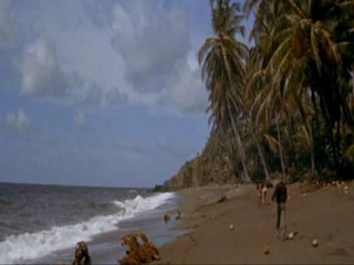 The Swiss Family Robinson