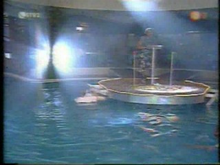 Gameshow form Slovak TV