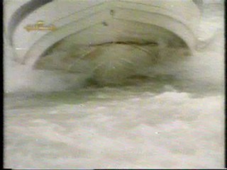 Red mini dress, white shirt