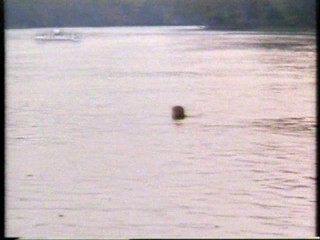 Hallmark Channel wetlook