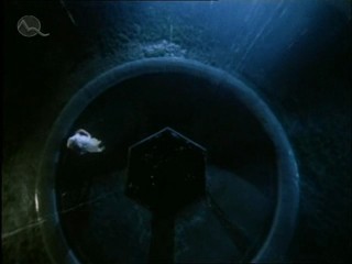 Fontana pre Zuzanu 1/2