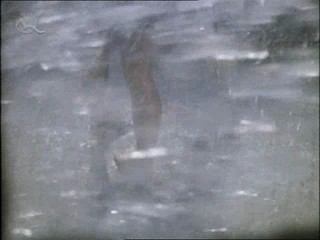 Fontana pre Zuzanu 2/2