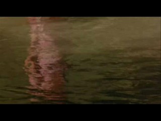 Puerto Vallarta Squeeze