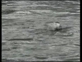 Ceska soda - Kruta kamera - Pepicek