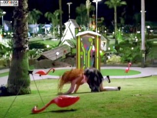 Avril Lavigne: Girlfriend - special wetlook mix