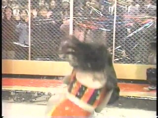 Japanese girl mud wrestling!