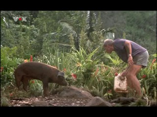 Six Days Seven Nights (1)