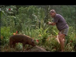 Six Days Seven Nights (1)