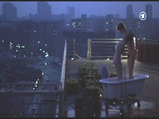 Sei zÃ¤rtlich, Pinguin