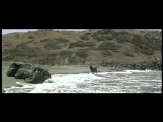 Jupiter's Darling (1955)