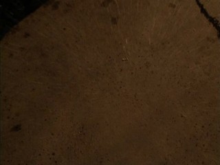 Meltdown: Day of Destruction