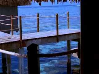 Manatea, les perles du Pacifique