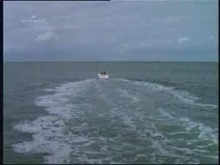 Tidal Wave: No Escape