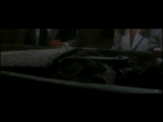 Indiana Jones and the Last Crusade