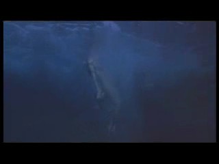 Never Say Never Again