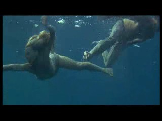 Never Say Never Again