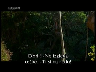 Tarzan and the Lost City