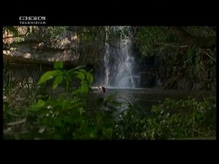 Tarzan and the Lost City