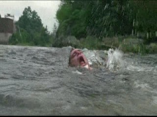 Me, Myself And Irene