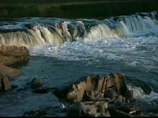 Me, Myself And Irene