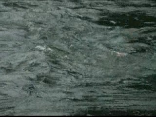 Me, Myself And Irene