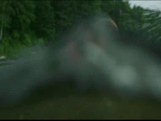 Me, Myself And Irene