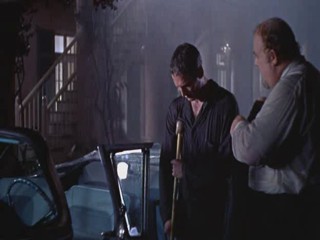 Cat On A Hot Tin Roof