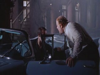 Cat On A Hot Tin Roof