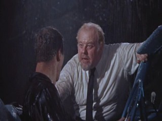 Cat On A Hot Tin Roof