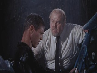 Cat On A Hot Tin Roof