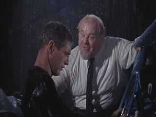 Cat On A Hot Tin Roof