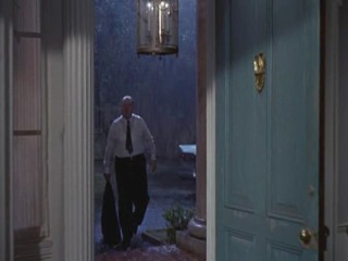 Cat On A Hot Tin Roof