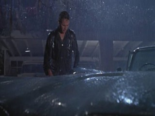 Cat On A Hot Tin Roof