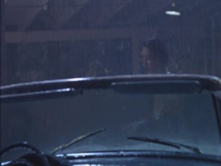 Cat On A Hot Tin Roof