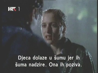 X Files