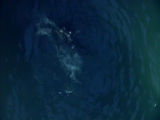 Journey to the Center of the Earth