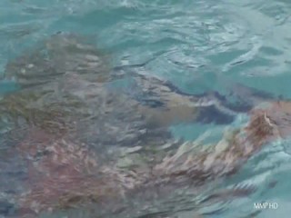 Supergirl In The Watery Trap (Fan Film) Official Trailer